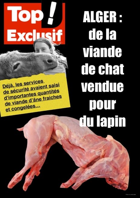 Alger : De la viande de chat vendue pour du lapin