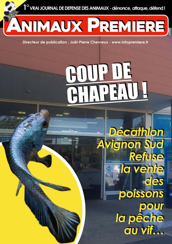 Coup de chapeau à Décathlon Avignon Sud !