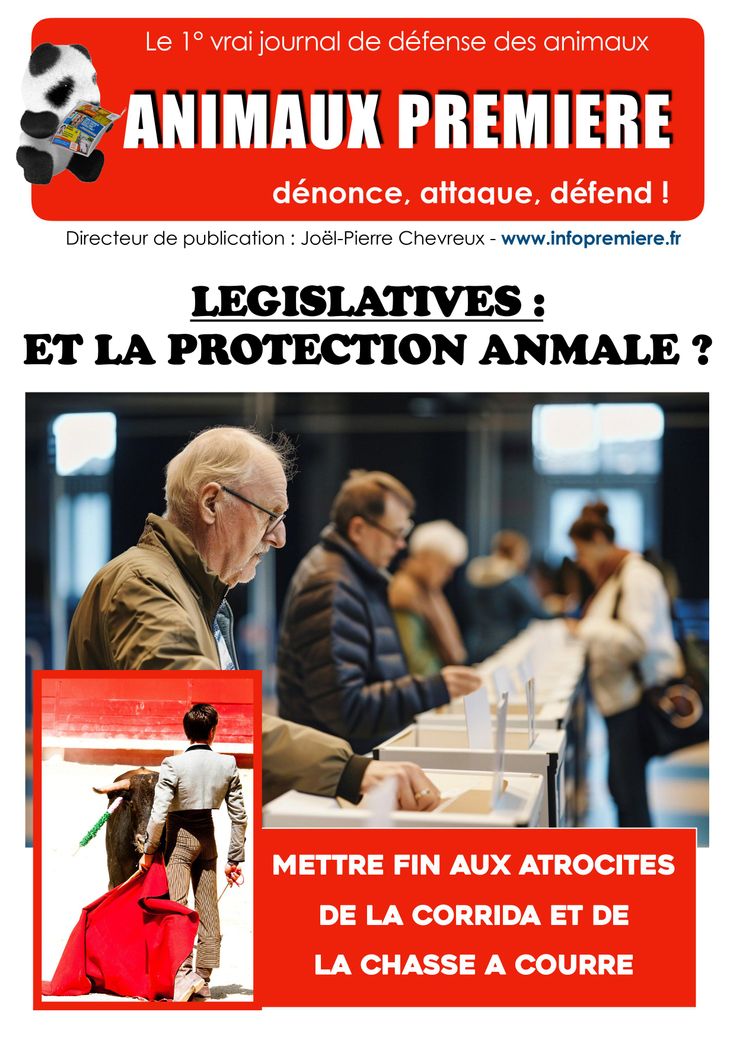 Législatives : Et la protection animale ?