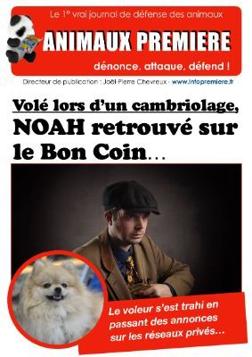 Noah retrouvé sur le Bon coin